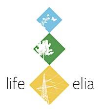 Image principale de LIFE Elia : meeting and field trip in Belgium