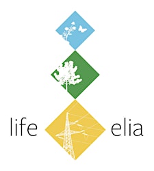 Image du profil de l'organisateur