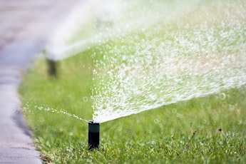 Irrigating with Water Conservatin in Mind (aka: Smart IRRIGation and Landscape Tips) primary image