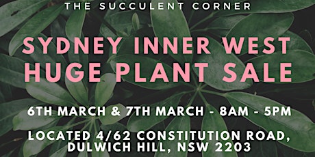 Sydney Inner West HUGE PLANT SALE