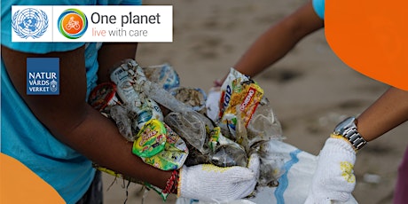 Behavioral insights for policymaking: Reducing plastic use  primärbild