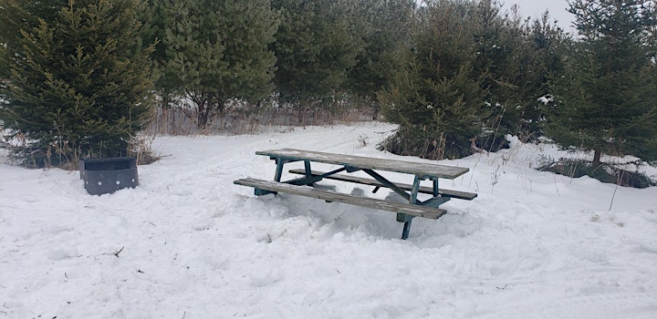 Winter Campfire Site at Elliott Tree Farm image
