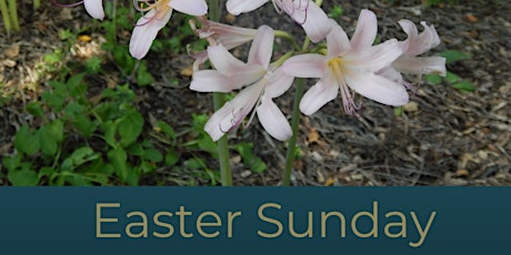 St. Elizabeth Seton Church | CHURCH Easter Sunday Masses primary image