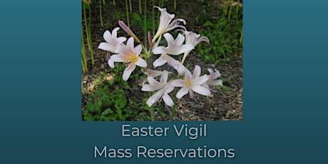 St. Elizabeth Seton Church | Holy Saturday: Easter Vigil Mass primary image