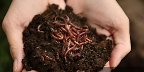 Keeping the Soil Healthy and Productive primary image