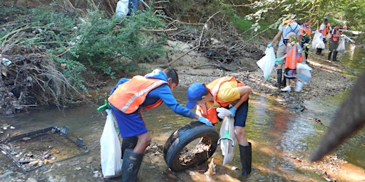 Imagen principal de Waterway Cleanup