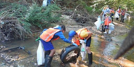 Primaire afbeelding van Stream Cleanup