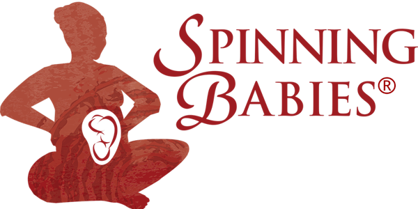 CANCELLED - Mount Pleasant, SC - Spinning Babies® Workshop w/ Rhea - May 29, 2021