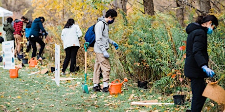 Image principale de Youth 4 the Credit - Volunteer Tree Planting