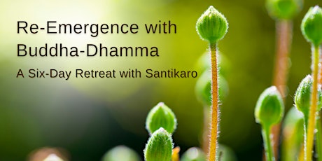 Re-Emergence with Buddha-Dhamma primary image
