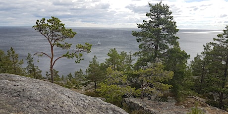 Friluftsmåleri i Höga Kusten  primärbild