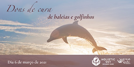 Imagem principal do evento Workshop: Série Sabedoria dos Animais – dons de cura de baleias e golfinhos
