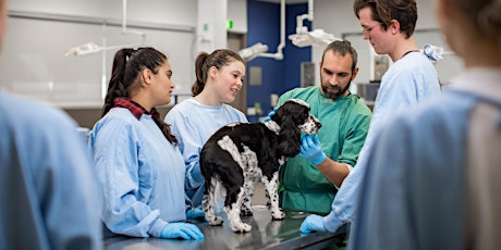 Animal and Veterinary Sciences 2021 Information Sessions primary image