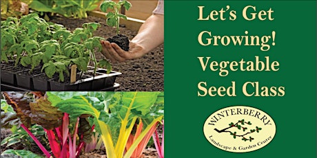 Let's Get Growing - Vegetable Seed Class