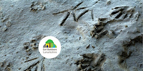 Wildlife tracks, trails and signs primary image