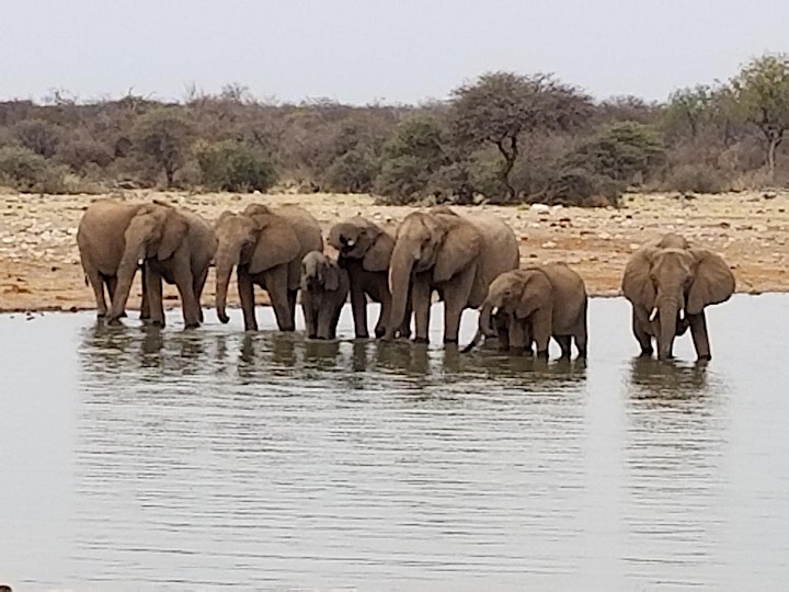 Southern Africa Wildlife Safari - Namibia, Botswana and Zimbabwe image