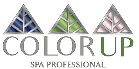 Virtual  Color Up Spa Party (Professionals Only) primary image