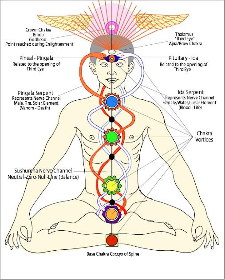 On-Line Chakra Healing - 7 Week Workshop image