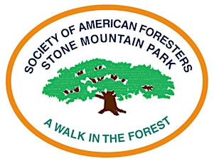 Walk in the Forest 2015 primary image