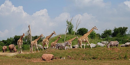 2022  Safari Zoo Admission