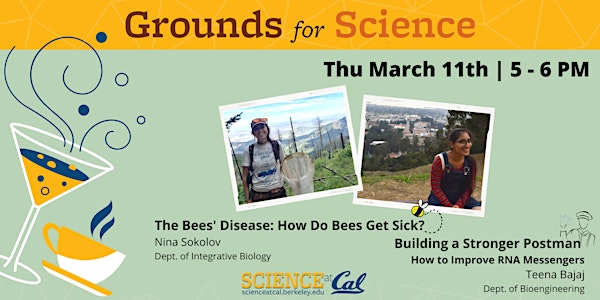 The Bees' Disease & Building a Stronger Postman