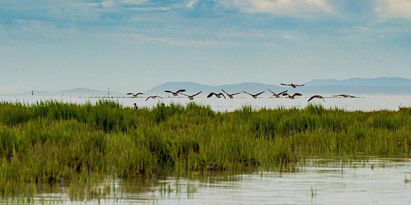 Co-Governance Within the Fraser River Estuary: A Conversation