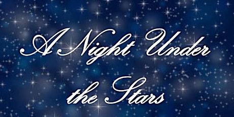 A Night Under the Stars primary image