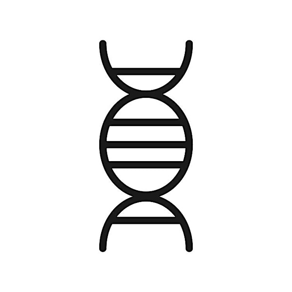 DISCIPLESHIP:  Bridge DNA - cancelled to remove from main page