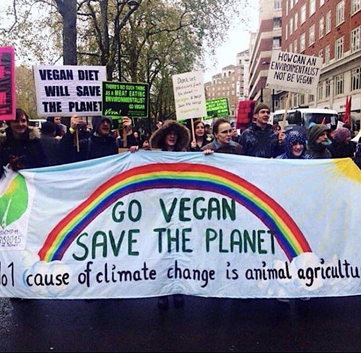 Could Veganism Cool the Planet? image