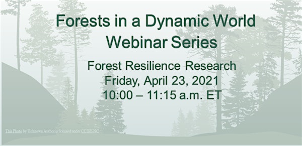 Forests in a Dynamic World Series: Forest Resilience Research