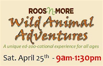 Roos n More - Wild Animal Adventures primary image