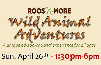 Roos n More - Wild Animal Adventures primary image