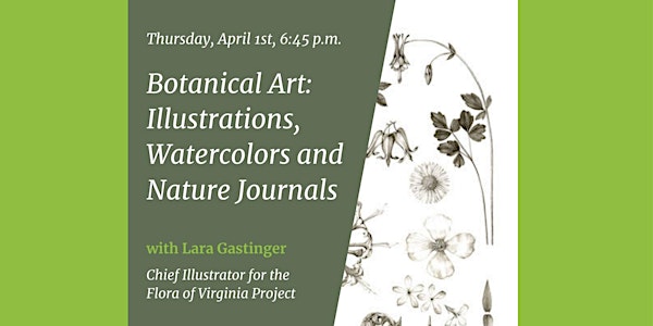 Botanical Art: Illustrations, Watercolors and Nature journals