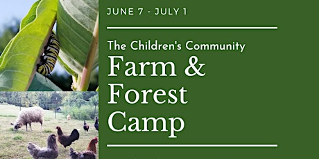 TCC Farm & Forest Camp - WEEK-BY-WEEK SESSIONS primary image