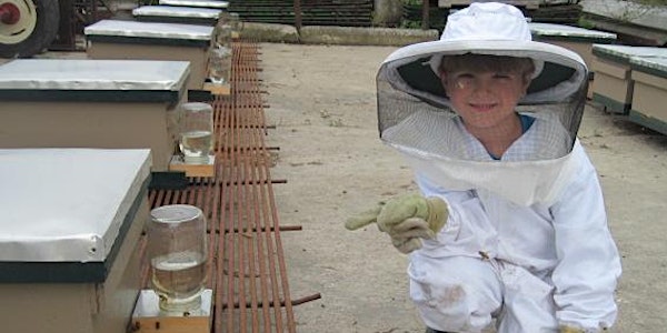 Beekeeping 101: Two Part Course March 20th & 27th