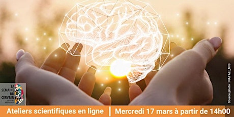 Image principale de [Semaine du Cerveau] Ateliers InCOGnu  « Découvre ton cerveau ! »