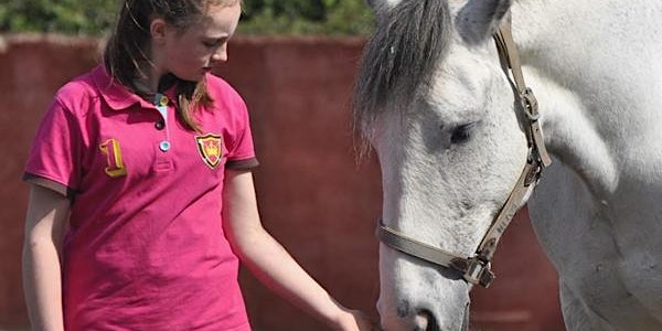 Over view of the benefits of Equine Assisted Learning