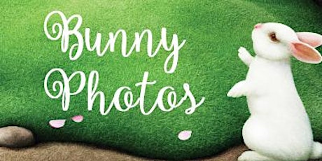 Bunny Photos primary image