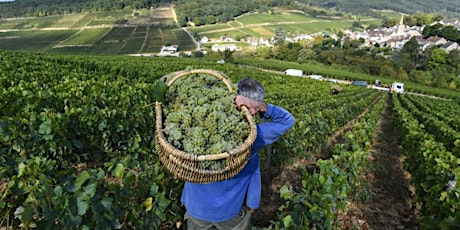 Taste of France – 4 Course Wine Dinner primary image