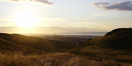 Fundraising training for Edinburgh Friends of Park and Community groups primary image