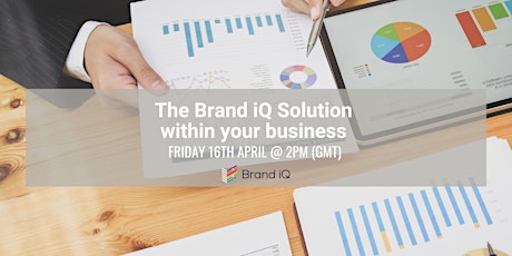 The Brand iQ Solution within your business primary image