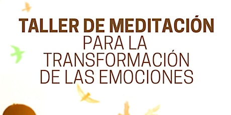 Imagen principal de Taller de Meditación para la Transformación de las Emociones