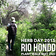 Herb Day 2015 Rio Hondo Plant Walk primary image