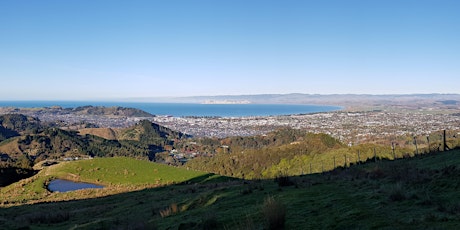 2021 Gizzy Trail Run Series - Te Kuri Farm Walkway primary image