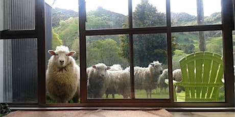 Gisborne Harrier Club #rungisborne Trail Run Series -Linburn Farmstay primary image