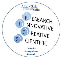 Undergraduate Research Interest Meeting primary image