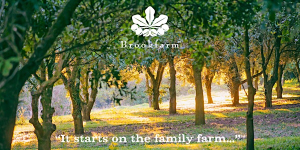 Brookfarm Morning Tea & Regenerative Farming Talk & Tour
