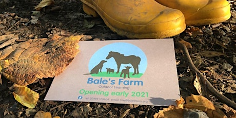 Bale's Farm - Farm-Vention Days primary image
