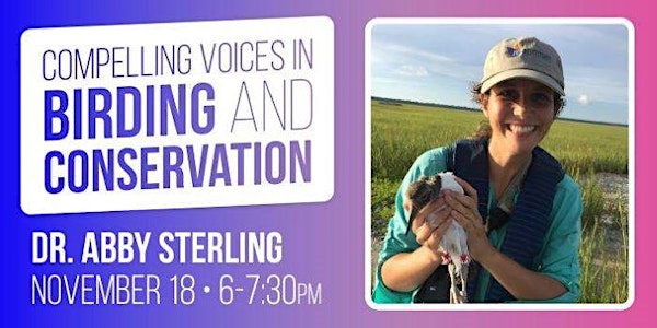 Wind Birds Over the Windy City: Stories of Shorebird Conservation