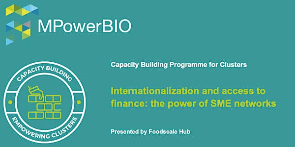 Internationalization and access to finance: the power of SME networks